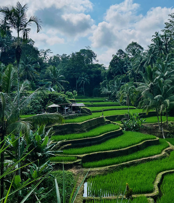 Ubud